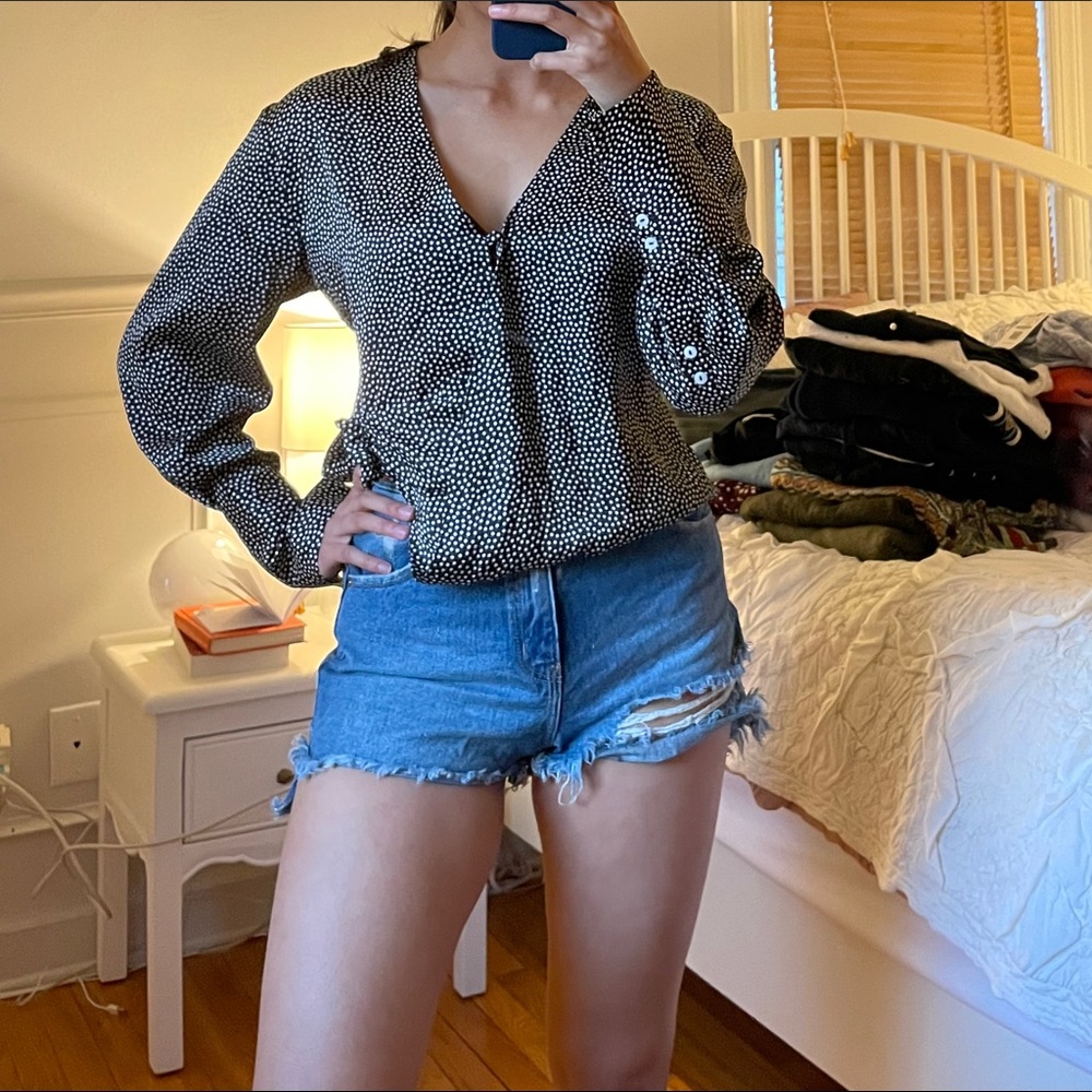 NWOT Zara dot blouse